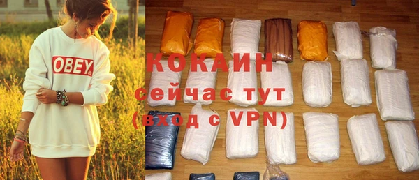 СК Сафоново