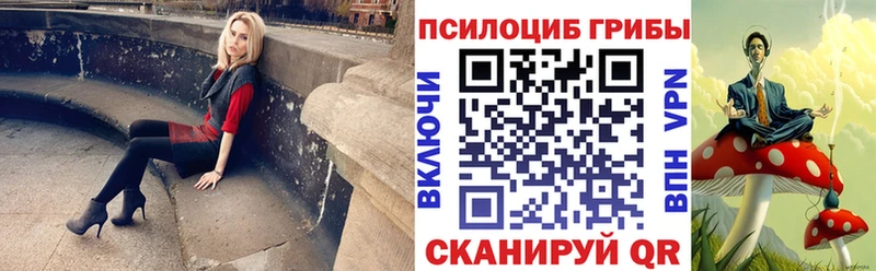 Галлюциногенные грибы Psilocybe  Купить закладки  Элиста 